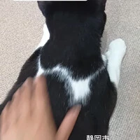 画像1740
