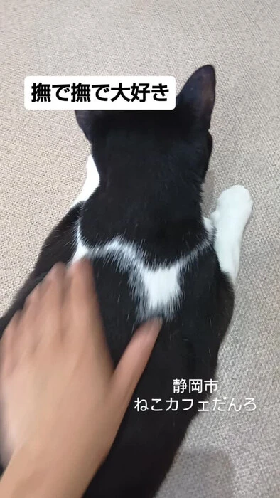 画像1740