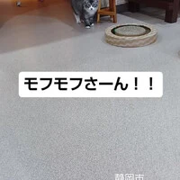 画像1742