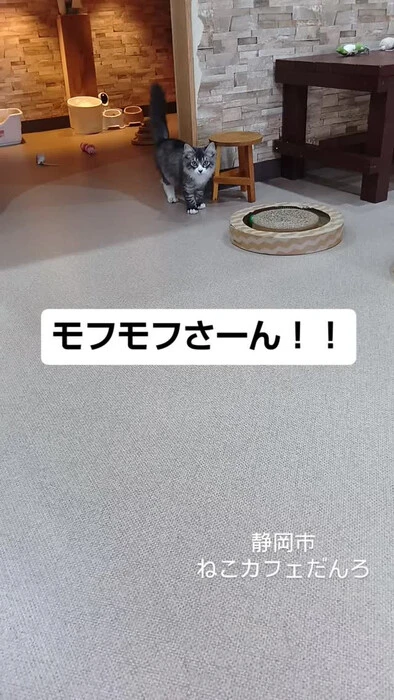 画像1742