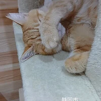 画像1746
