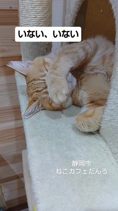 画像1746