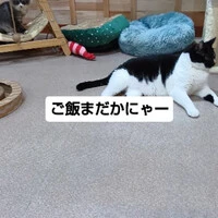 画像1748