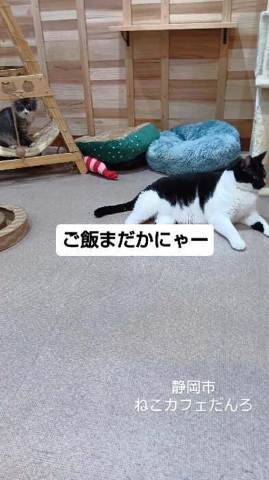 画像1748