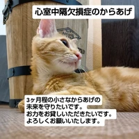 画像1750