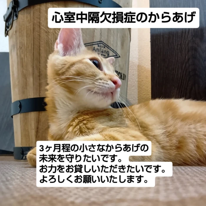 画像1750