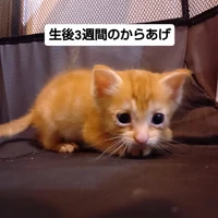 画像1754