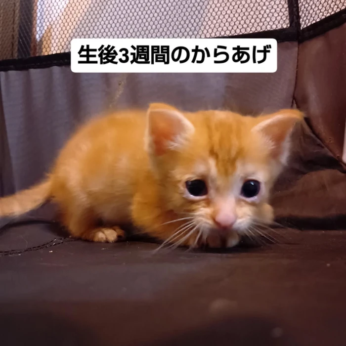 画像1754