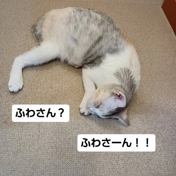 画像1760