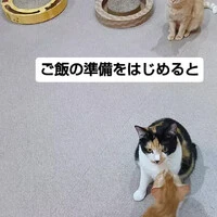 画像1764