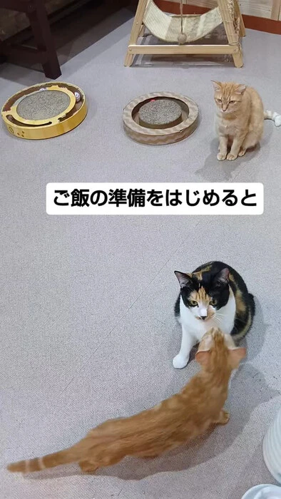 画像1764