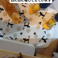 画像1768