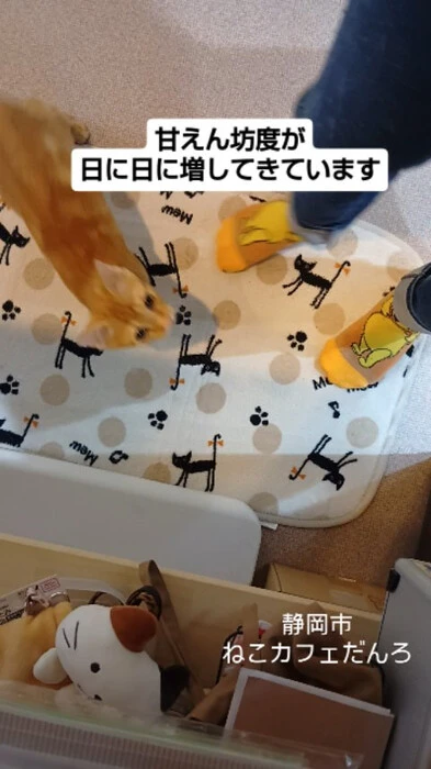 画像1768