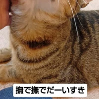 画像1770