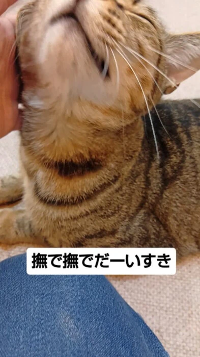 画像1770