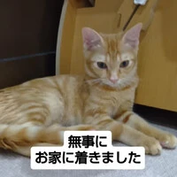 画像1772
