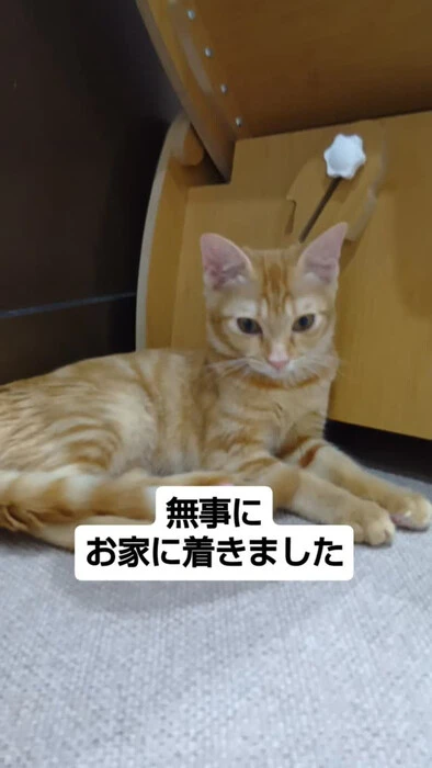 画像1772