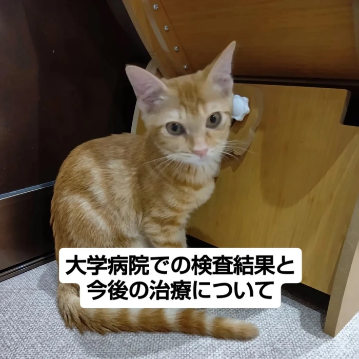 画像1774