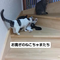 画像1782