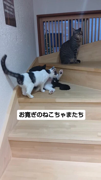 画像1782