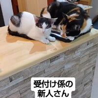 画像1784