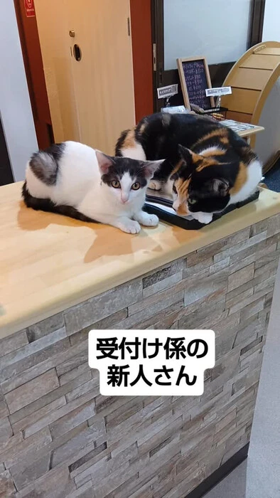 画像1784