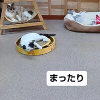 画像1788