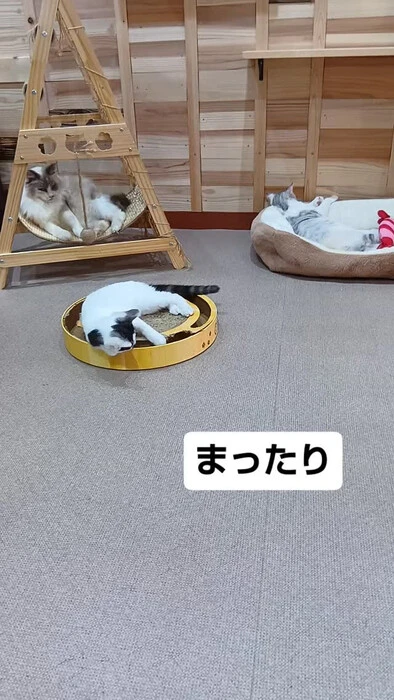 画像1788