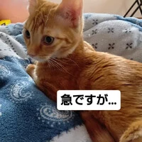 画像1794