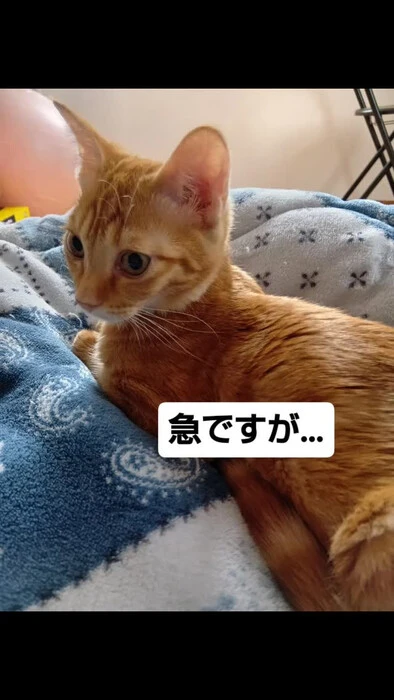 画像1794