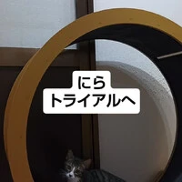 画像1801