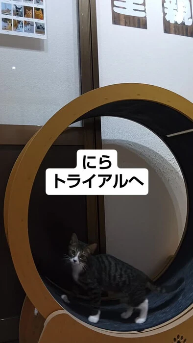 画像1801