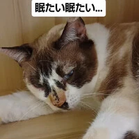 画像1803