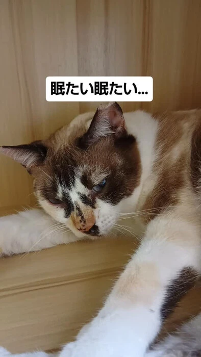 画像1803