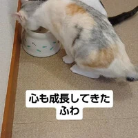 画像1805