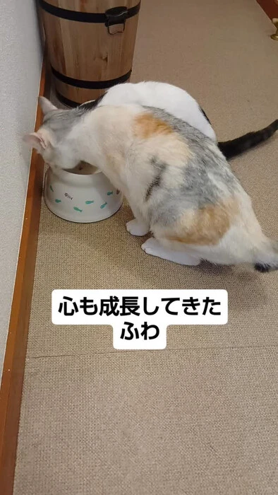 画像1805