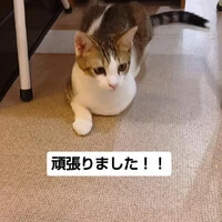 画像1809