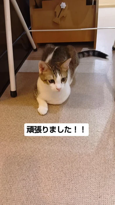 画像1809