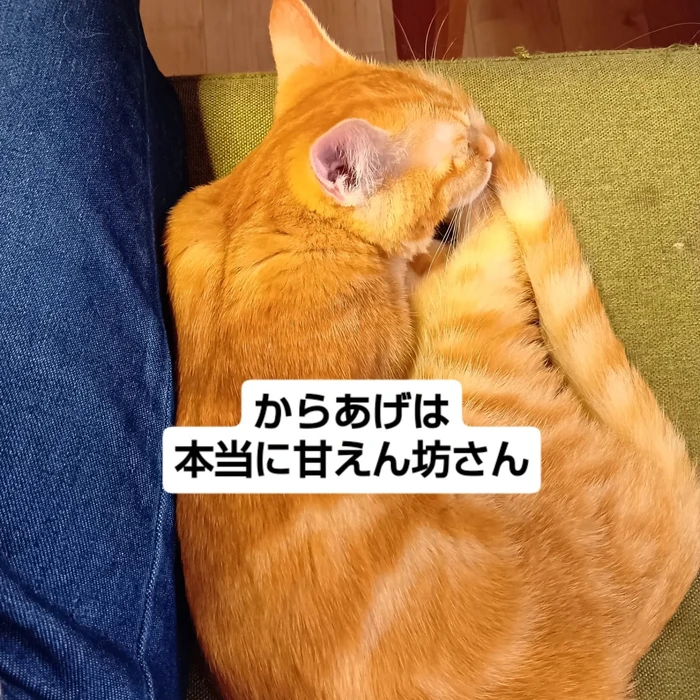 画像1819