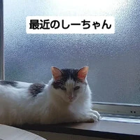 画像1823