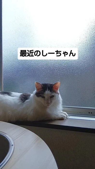 画像1823