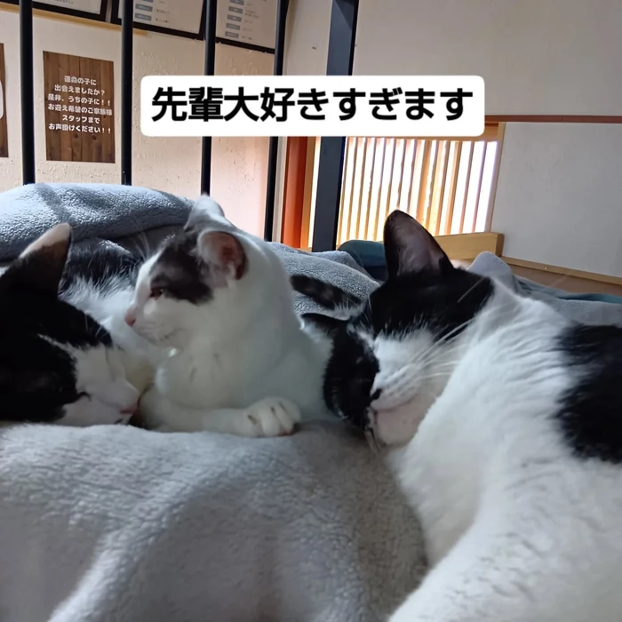 画像1825