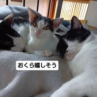 画像1826