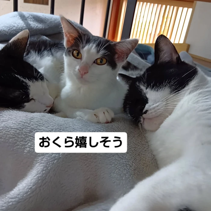 画像1826
