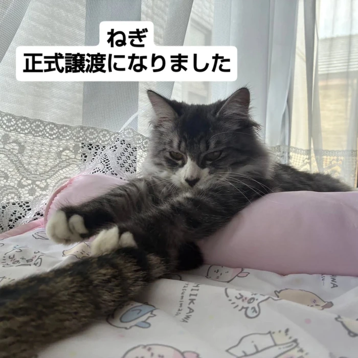 画像1839