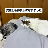 画像1841