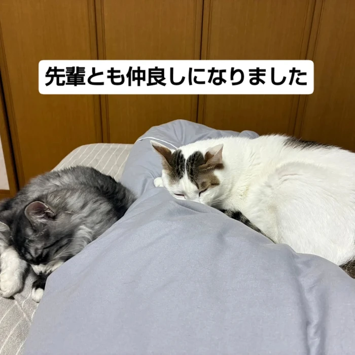 画像1841