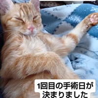 画像1848