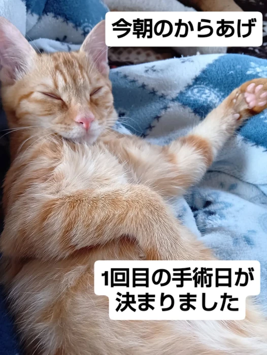 画像1848