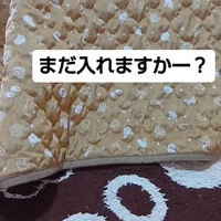 画像1856